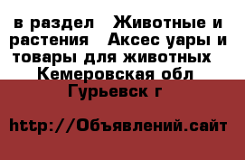  в раздел : Животные и растения » Аксесcуары и товары для животных . Кемеровская обл.,Гурьевск г.